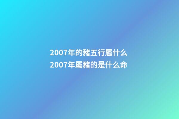 2007年的豬五行屬什么 2007年屬豬的是什么命-第1張-觀點-玄機派